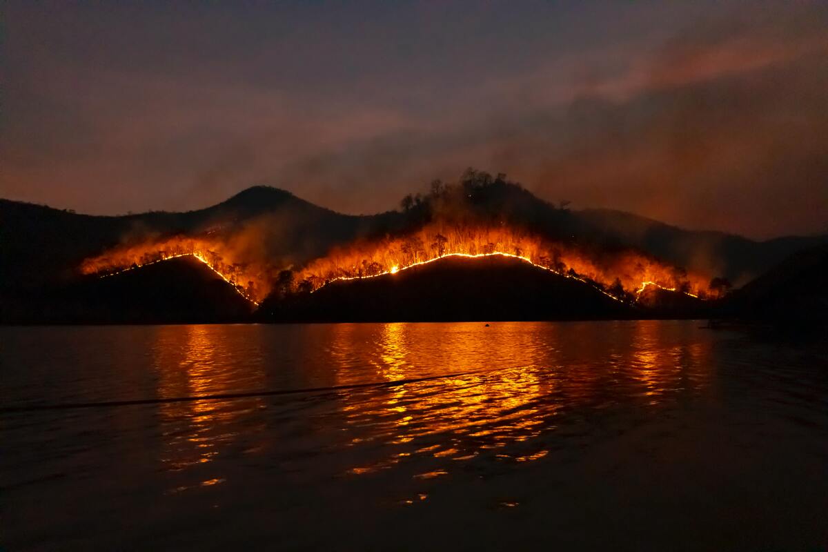 Climate crisis: If we fail to halve greenhouse gas emissions this decade the impacts will be severe
